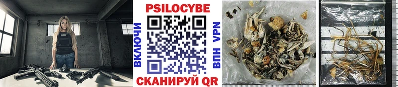 Псилоцибиновые грибы MAGIC MUSHROOMS  Острогожск 